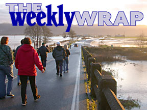 The Weekly Wrap