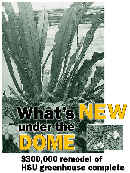 What's new under the dome - $300,000 remodel of HSU greenhouse complete