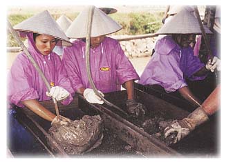 [photo of women excavating]