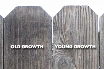 [fence boards of old growth and young growth redwood]