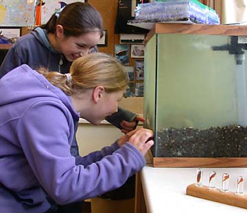 [photo: two girls looking into fishtank]