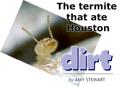 Heading: Dirt, by AMY STEWART, The termite that ate Houston\