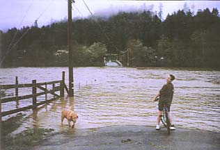 [photo of dog and boy on bike near flooded creek]