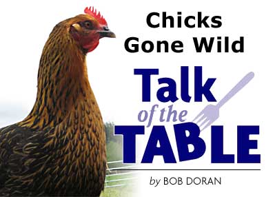 Heading: Talk of the Table, by BOB DORAN, Chicks Gone Wild, photo of a glaring chicken