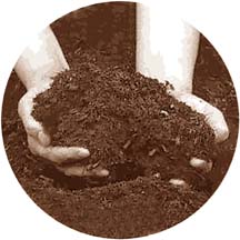 photo of hands holding compost