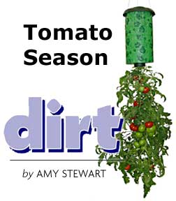 Tomato Season - Dirt - by Amy Stewart