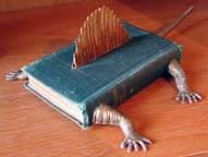 lizard book