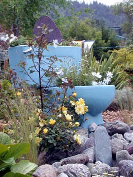 blue toilet among rocks and roses in garden