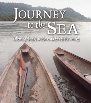 Journey to the sea: Following the fish on the south fork of the Trinity