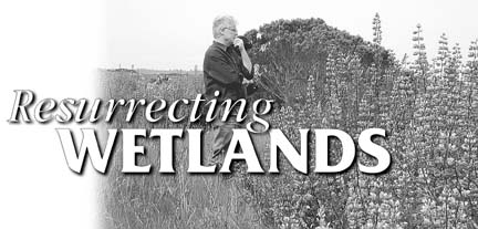 Restoring wetlands