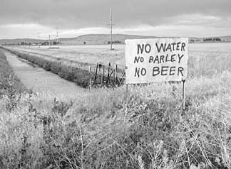 [photo of sign: "No water, no barley, no beer"]