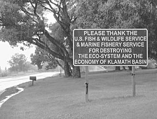 [Photo of sign: "Please thank the U.S. Fish & Wildlife Service & Marine Fishery Service for destroying the eco-system and the economy of Klamath Basin"}