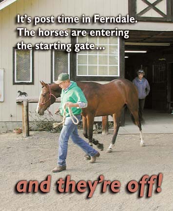 It's post time in Ferndale. the horses are entering the starting gate... and they're off!