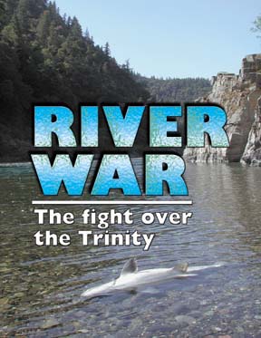 RIVER WAR: The Fight over the Trinity - photo of salmon floating belly up in river