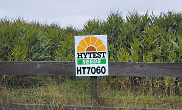 [Corn field with fence and sign in front, sign reading "Hytest Seeds, HT7060"]