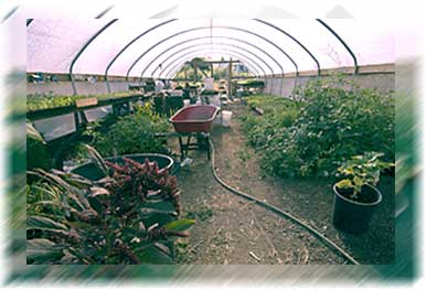 photo of Southern Humboldt Community Park greenhouse