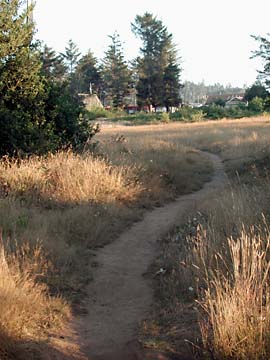 trail in McKinleyville, with houses and trees in background