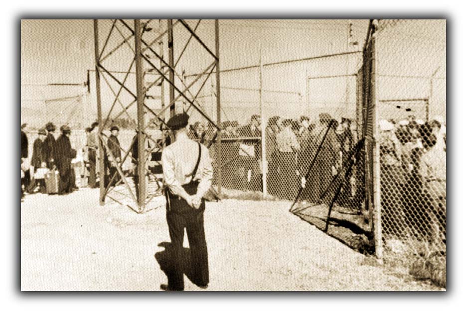 photo of California Internment Camp