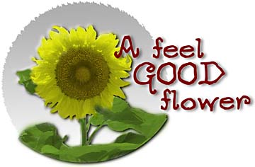 A feel-good flower [photo of sunflower]