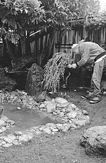 [photo of Smith repairing tree]