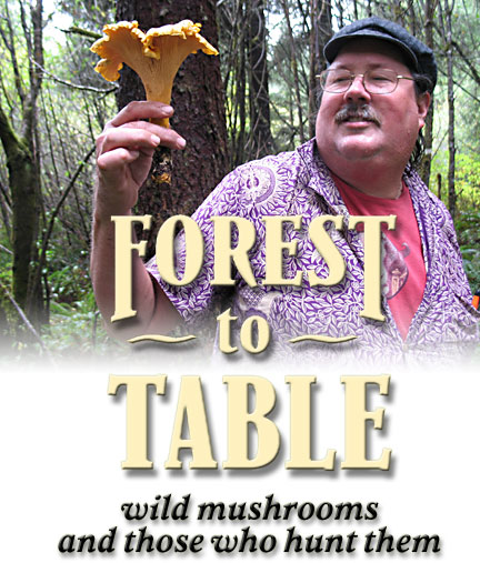 Forest to Table, wild mushrooms and those who hunt them, photo of mushroom hunter and chanterelle
