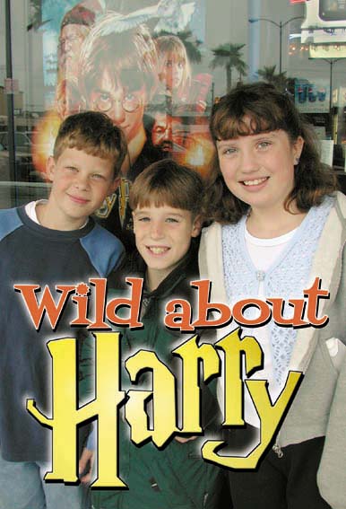 Harry Potter film goers
