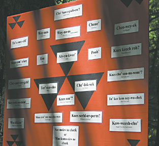 photo of language board, photo courtesy Yurok Elder Wisdom Preservation Project