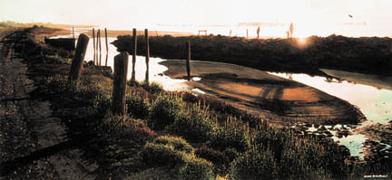 Humboldt bay at sunset with road in foreground