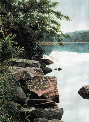river's edge with rocks, trees, vegetation