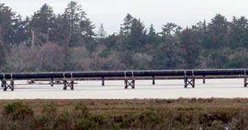 pipeline on trusses over water in slough