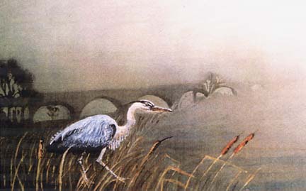 [watercolor painting of blue heron standing in marsh grass, bridge and fog in background]