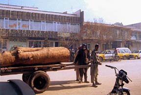 Human-powered logging truck on city street