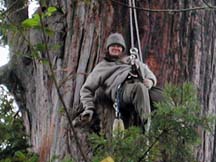 photo of tree-sitter Remedy