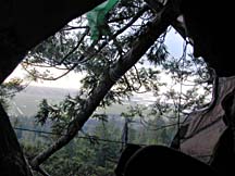 photo of view from tree-sit platform