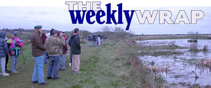 Heading: The Weekly Wrap, and photo of birdwatchers on Hookton Slough levy 