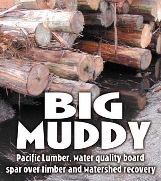 Big Muddy: Pacific Lumber, water quality board spar over timber and watershed recovery