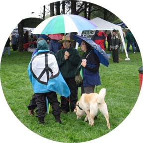 [Three women under umbrella, one with peace-sign flag over her, and dog in foreground]