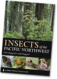 photo of the book, insects of the pacific northwest by Peter Haggard and Judy Haggard