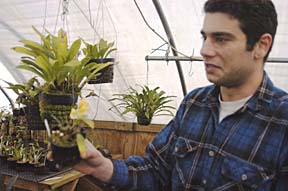 [John Brugaletta holding orchid plant in greenhouse]