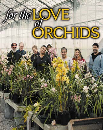 For the love of orchids [ photo of nursery staff standing behind orchids in greenhouse]