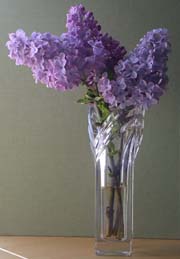 photo of lilacs in a vase