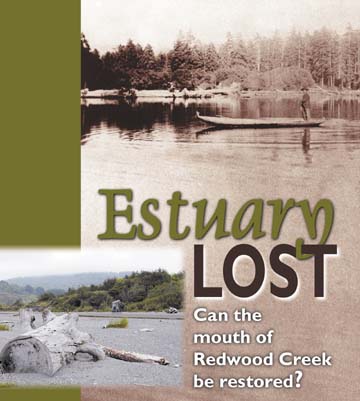Estuary lost: Can the mouth of Redwood Creek be restored?