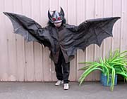 Photo of Duane Flatmo in bat suit