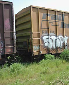 Grafitti "Stop!" painted on boxcar, grass and shrubs in foreground
