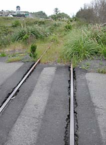 tracks with overgrown grass