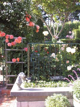 Photo of Jim Sullivan's garden