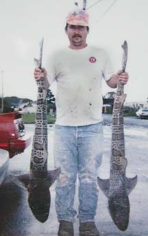 Man holding two sharks by tails