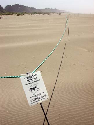 [Beach with area roped off, sign hanging from rope, stating "Temporary Closure - Snowy Plover habitat]