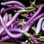purple beans