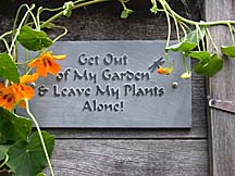 Photo of garden plaque: "Get Out of My Garden & Leave My Plants Alone!"